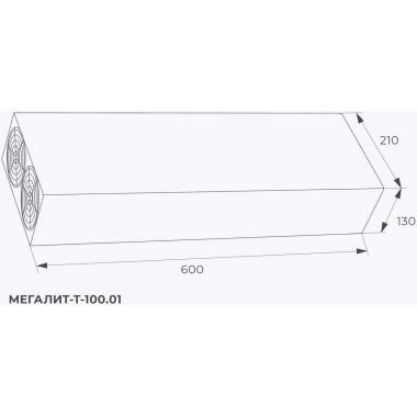МЕГАЛИТ-Т-100.01
